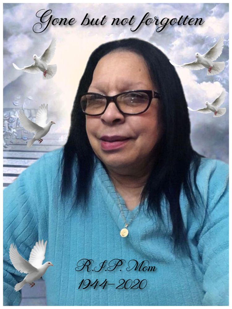 Contributions to the tribute of Carmen Colon Freeman Funeral Homes